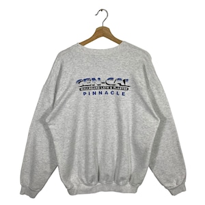 Vintage Cen-Cal Willboard Lath & Plaster Pinnacle Sweatshirt L Size Grey Colour