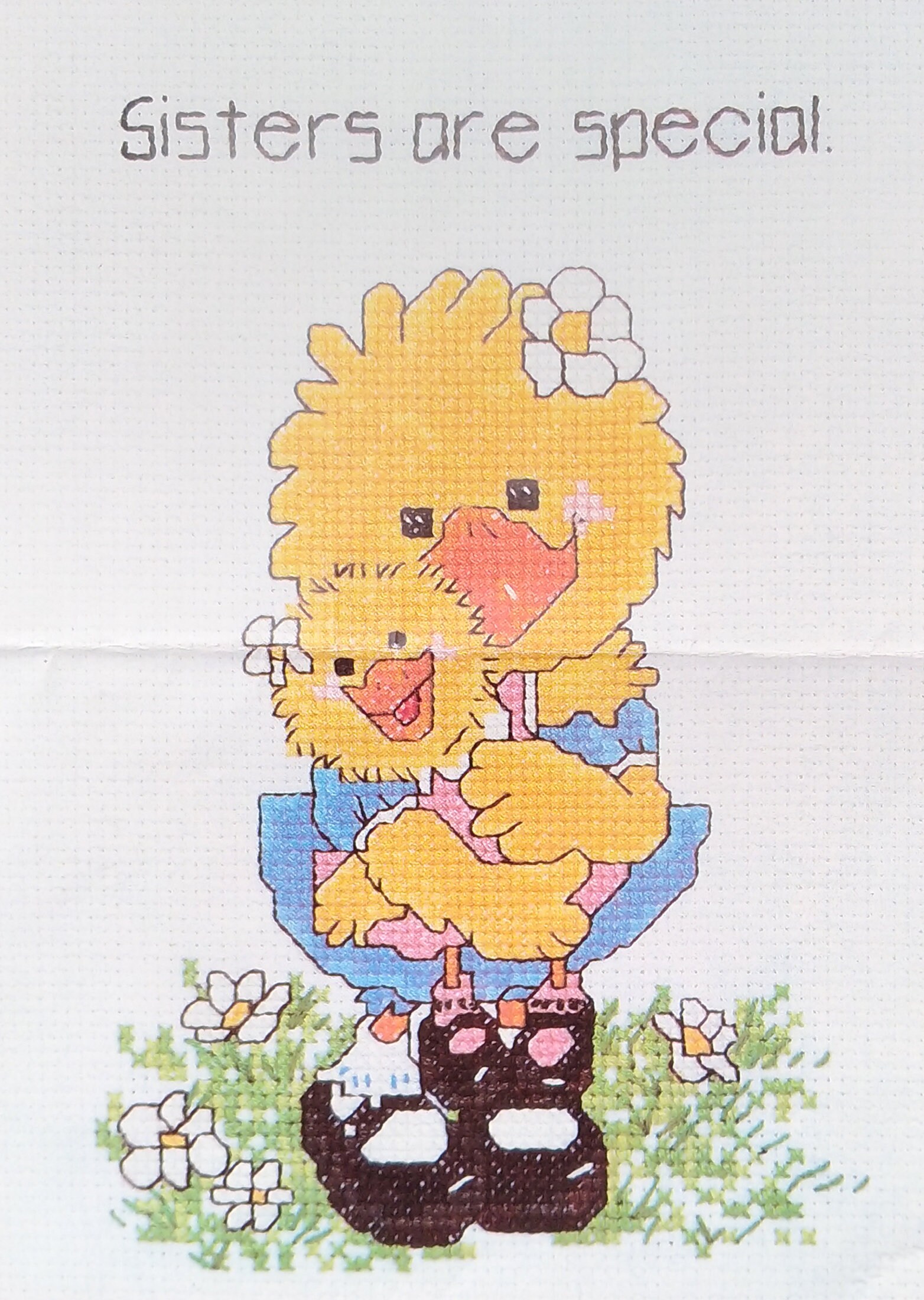 Sisters are Special Counted Cross Stitch Kit 3878 by Janlynn Etsy