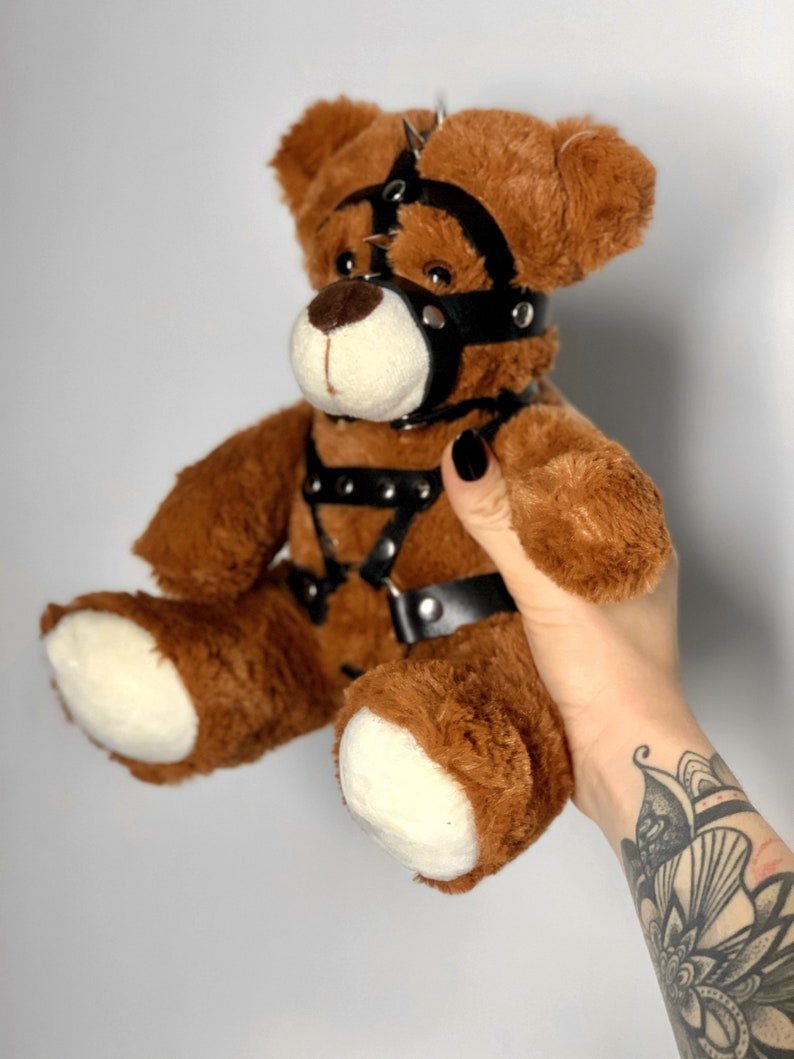 Kinky Fetish Plush Teddy Bear BDSM Gifts DDLG Gift | Etsy