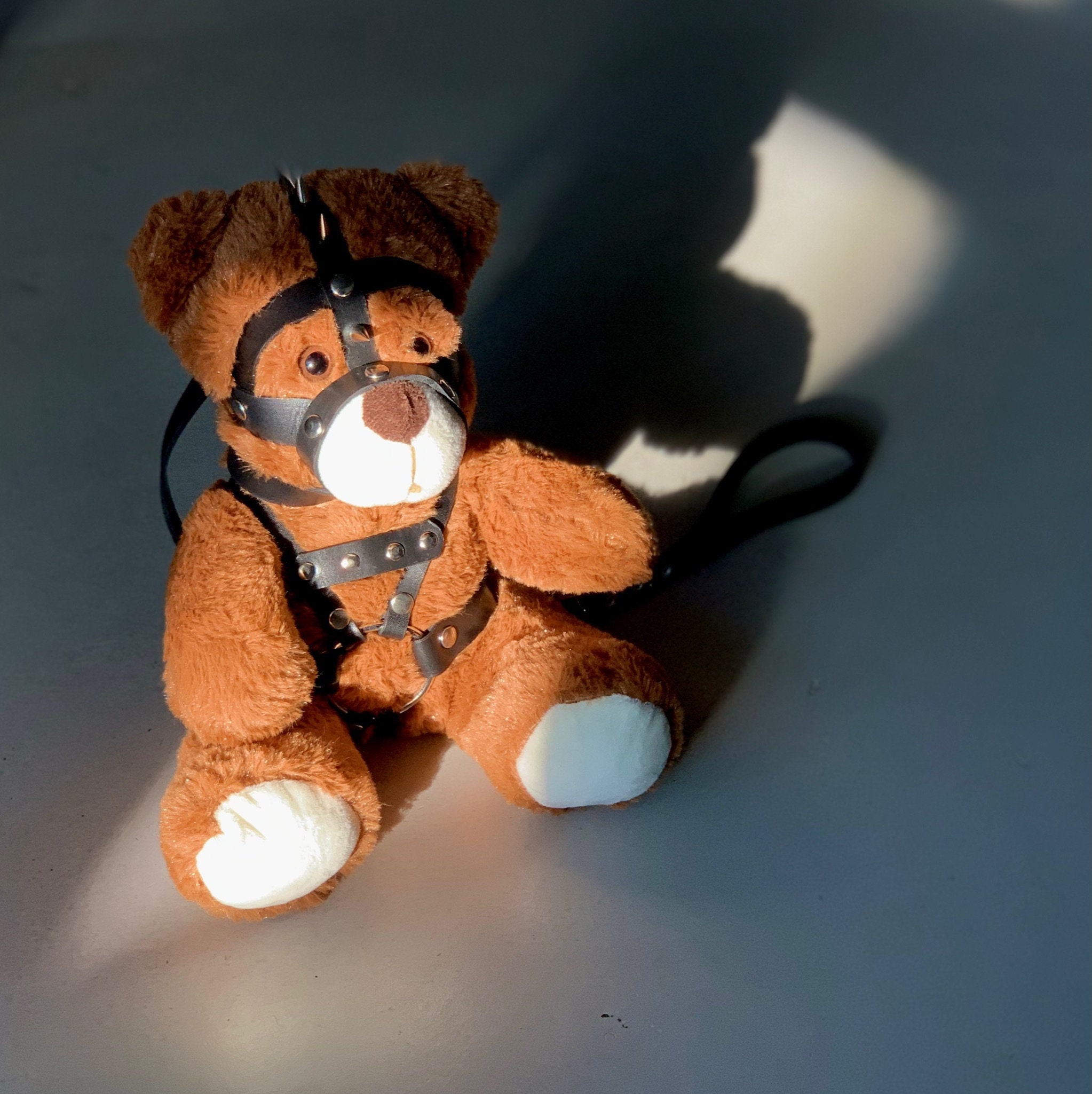 Kinky Fetish Plush Teddy Bear BDSM Gifts DDLG Gift | Etsy