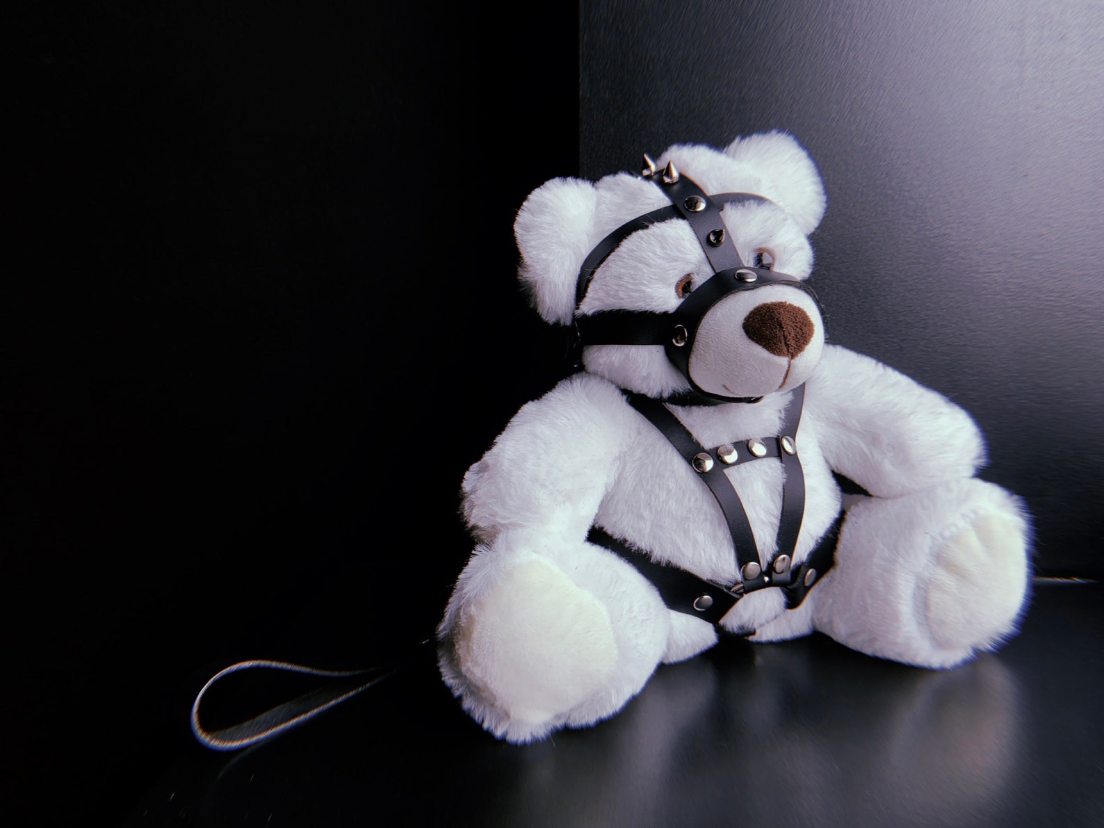 Kinky teddy bear