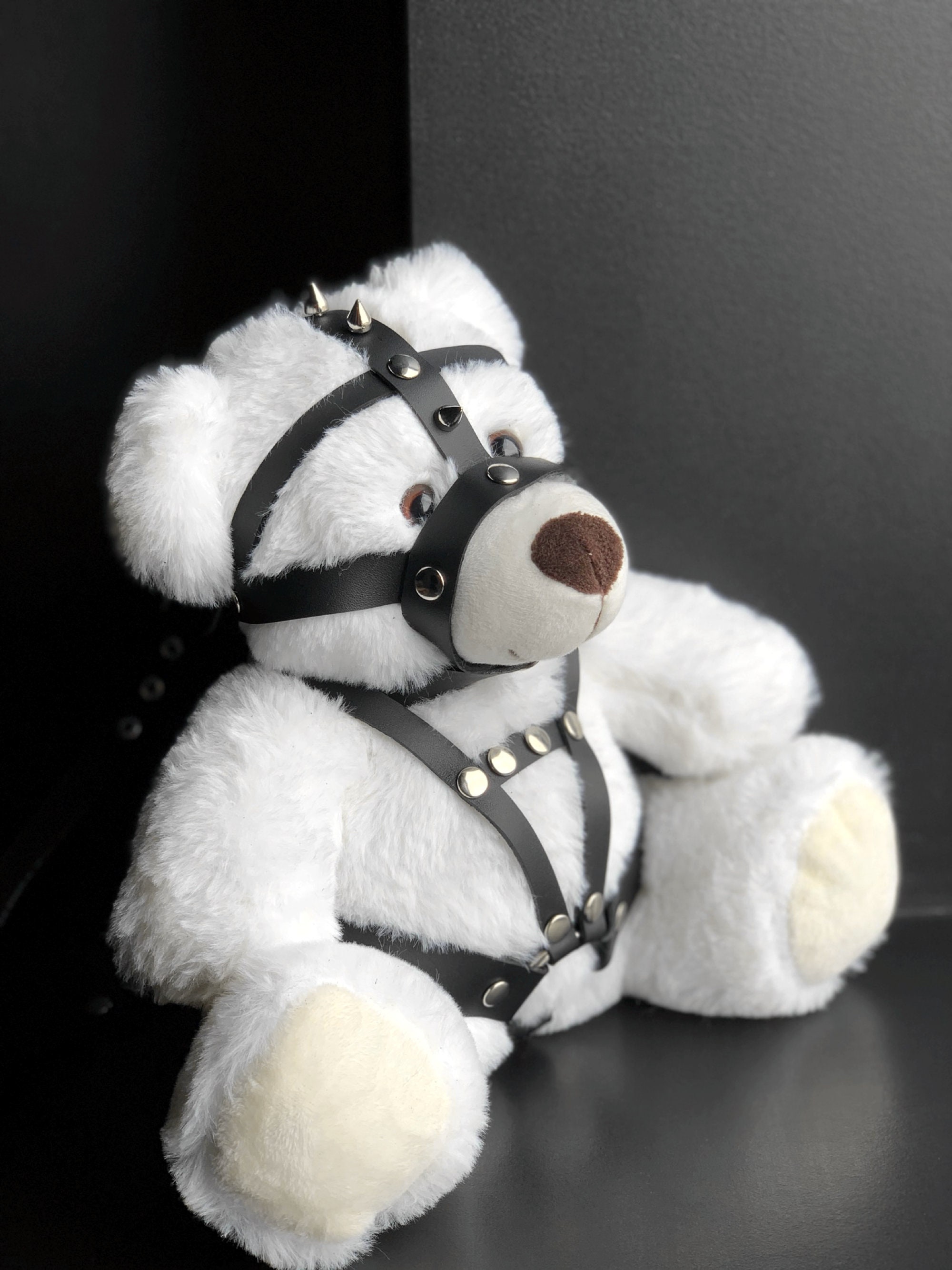 Kinky Fetish Plush Teddy Bear BDSM Gifts DDLG Gift | Etsy