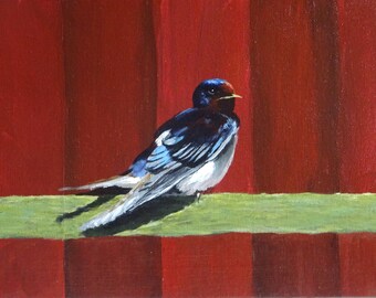 Schwalbe, swallow