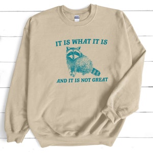 It Is What It Is And It Is Not Great Sweatshirt, Vintage Sweatshirt, Raccoon Sweatshirt, Mental Health Sweatshirt, Funny Sweatshirt Women
