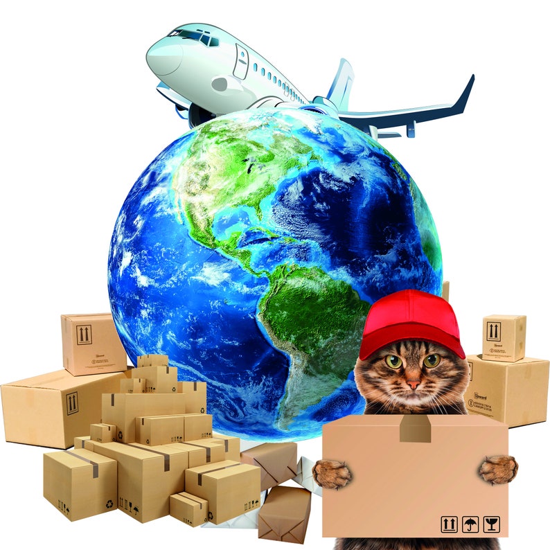 Puede incluir: Un gato atigrado marr&oacute;n con una gorra de b&eacute;isbol roja sostiene una caja de cart&oacute;n frente a un gran globo terr&aacute;queo. Un avi&oacute;n blanco vuela sobre el globo, rodeado por una colecci&oacute;n de varias cajas de cart&oacute;n de env&iacute;o de diferentes tama&ntilde;os.