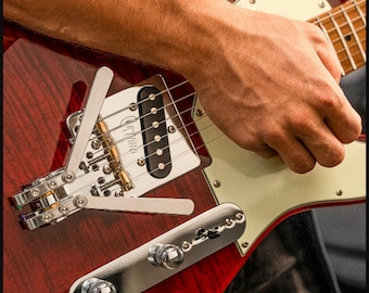 PEDAL STEEL TREMOLO Guitar Effects Tones! Certano T-bender