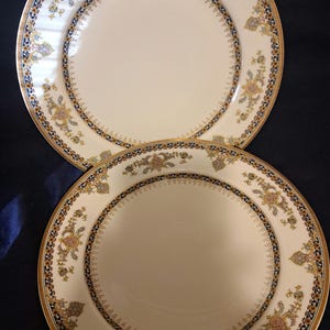 Two Limoges Haviland Oriental pattern salad plates