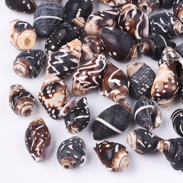 100 Muschel-Perlen 8 - 16 mm (0,3 x 0,6 inch) Naturperlen kokosnussbraun weiß
