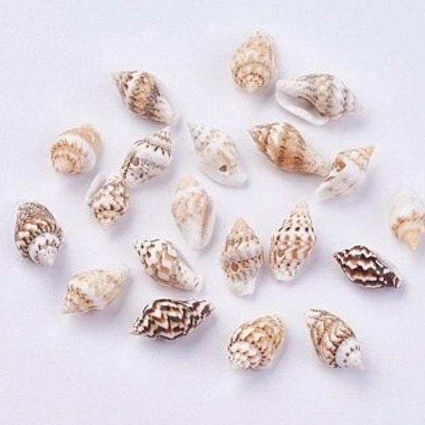 85 Muschel-Perlen 10 - 15 mm  Naturperlen cremeweiß beige braun