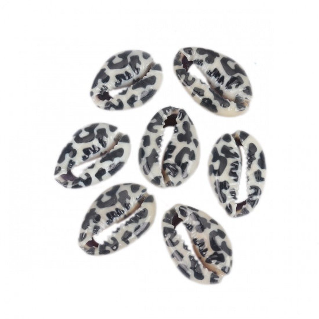 Leopard Cowrely Shell 10 Cowrie Shells, Shell Beads, Black and White, Leopard Pattern, 25 Mm ...