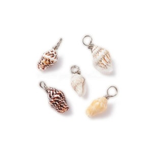 May include: Five small seashells with silver wire loops, ready to be used as charms or pendants. The shells are a mix of brown, white, and cream colors.
