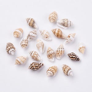 Könnte beinhalten: Eine Ansammlung kleiner, spiralförmiger Muscheln, die über den Rahmen verstreut sind. Jede Muschel weist ein einzigartiges Muster aus braunen, beigen und weißen Markierungen auf, mit komplexen Texturen und Spitzen. Die Muscheln variieren in Größe.