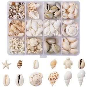 Può includere: Una scatola portaoggetti in plastica trasparente con dodici scomparti riempita con un assortimento di conchiglie naturali, stelle marine e ciondoli a forma di tartaruga nei toni del bianco, crema e marrone, con pezzi singoli esposti sotto.