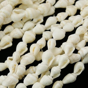 Könnte beinhalten: Eine Ansammlung mehrerer Stränge aus kleinen, cremeweißen, natürlichen Muscheln, die aneinandergereiht sind. Jede einzelne Muschel hat eine spitze Spiralform mit einer sichtbaren Öffnung, was ein strukturiertes, sich wiederholendes Muster ergibt.