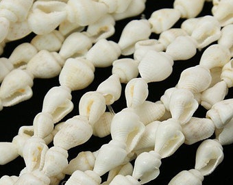 85 perles de coquillage 8 - 10 mm (0,3 - 0,4 pouce) perles naturelles blanc crème beige clair