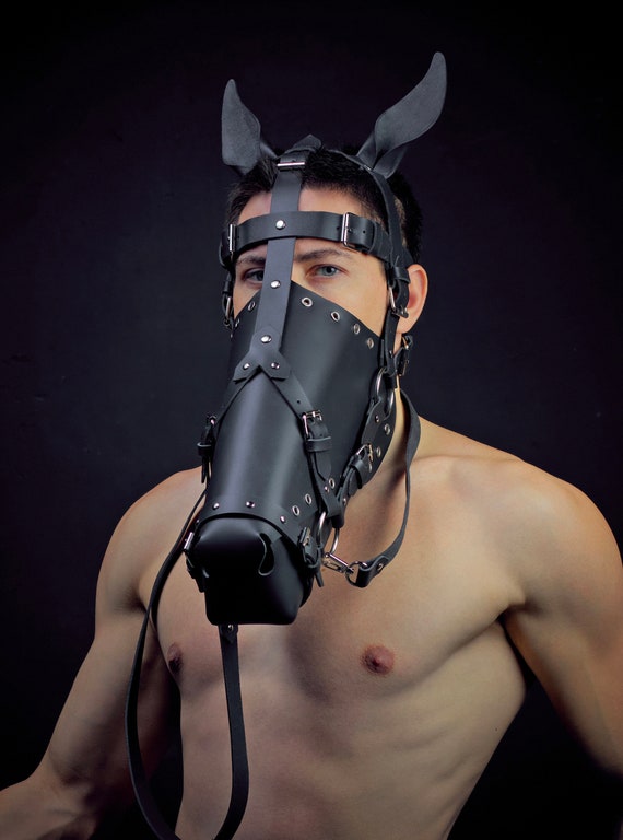 Pferd bdsm