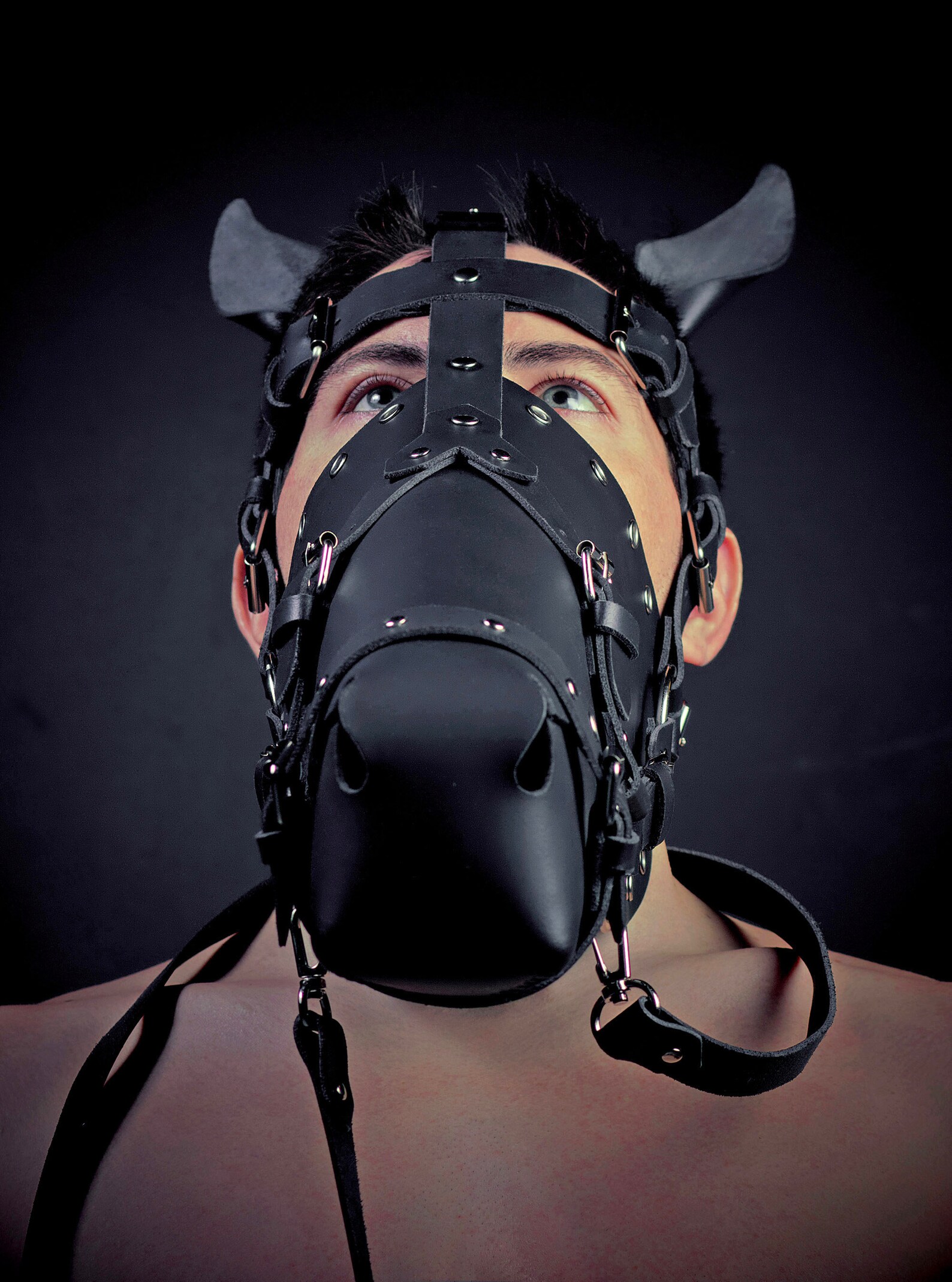 Horse BDSM mask. Stallion mask. Leather fetish mask. Leather Etsy