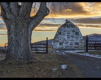 White Washed, Landscape Photo, Wall Art, Building Art, Canvas, Barn, Rustic, Americana, Central Oregon, Powell Butte, Oregon