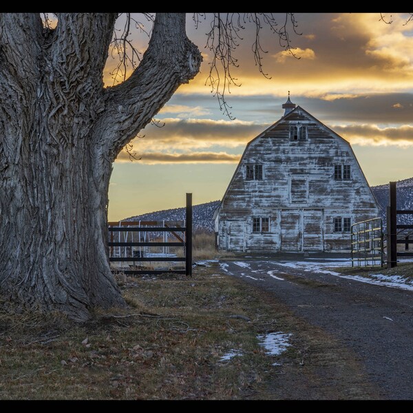 White Washed, Landscape Photo, Wall Art, Building Art, Canvas, Barn, Rustic, Americana, Central Oregon, Powell Butte, Oregon