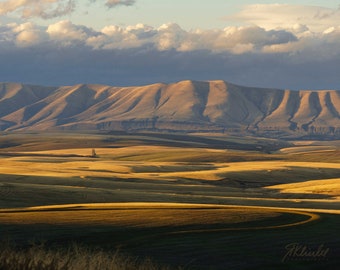 Eastern Oregon Sunset, Landscape Photo, Sunset, Large Wall Art Prints, Building Art, Wheat Field, Farmlandd