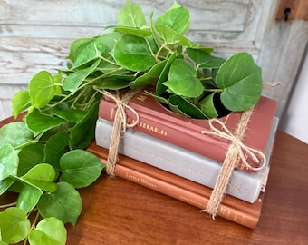 Maceta con forma de libro (planta no incluida)