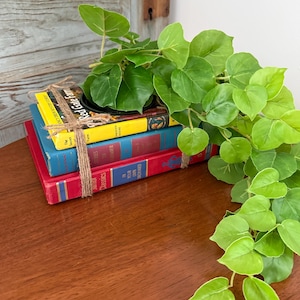 May include: A stack of three hardcover books tied together with brown twine, topped with a small black pot containing a trailing green plant with heart-shaped leaves. The books include a yellow volume titled Red Gate Farm, a blue book, and a red book.