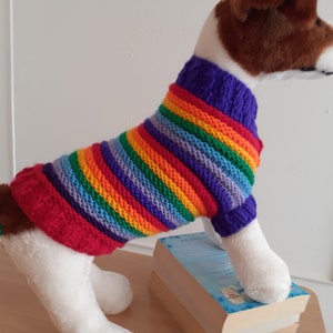Op de afbeelding: Een gebreide regenboog gestreepte hondentrui met een paarse hals. De trui is op een witte pluche hond.