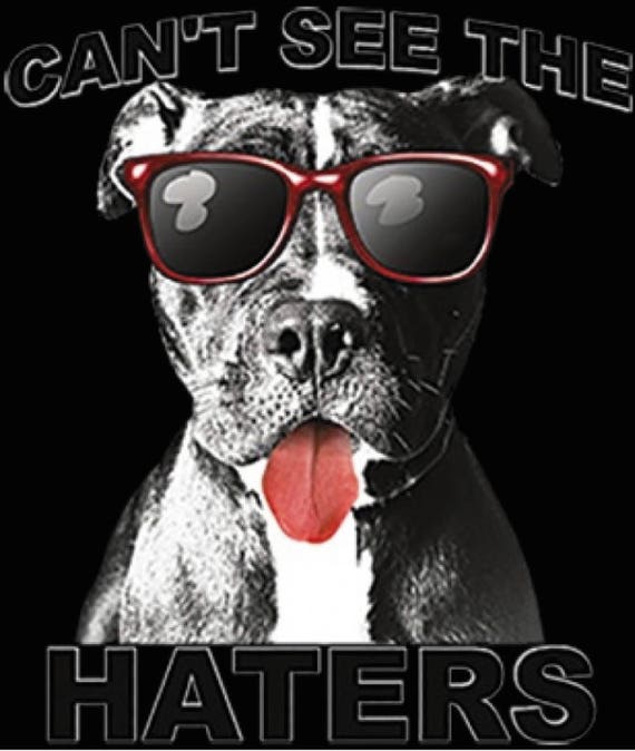 Can't See the Haters Etsy