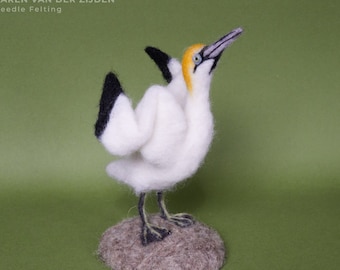 Needle Felted Gannet, wool felt seabird, realistic bird figurine, handmade needle felted animal, MADE TO ORDER