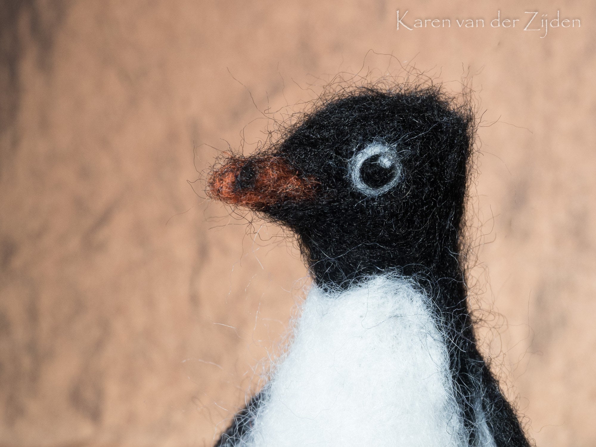 Adelie penguin 様オーダー