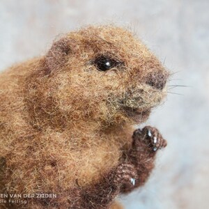 Realistic needle felted beaver sculpture, measuring just over 5 3/4 inches tall.