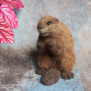 Realistic needle felted beaver sculpture, measuring just over 5 3/4 inches tall.