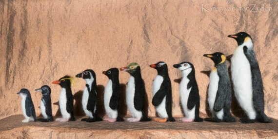 Gentoo 2024 penguin plush