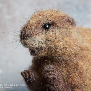 Needle Felted Beaver • Realistic Wool Animal Figurine • Handmade Fiber Art Collectible