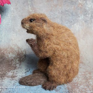 Realistic needle felted beaver sculpture, measuring just over 5 3/4 inches tall.