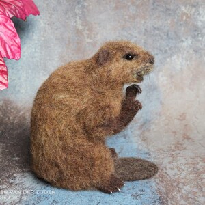 Realistic needle felted beaver sculpture, measuring just over 5 3/4 inches tall.