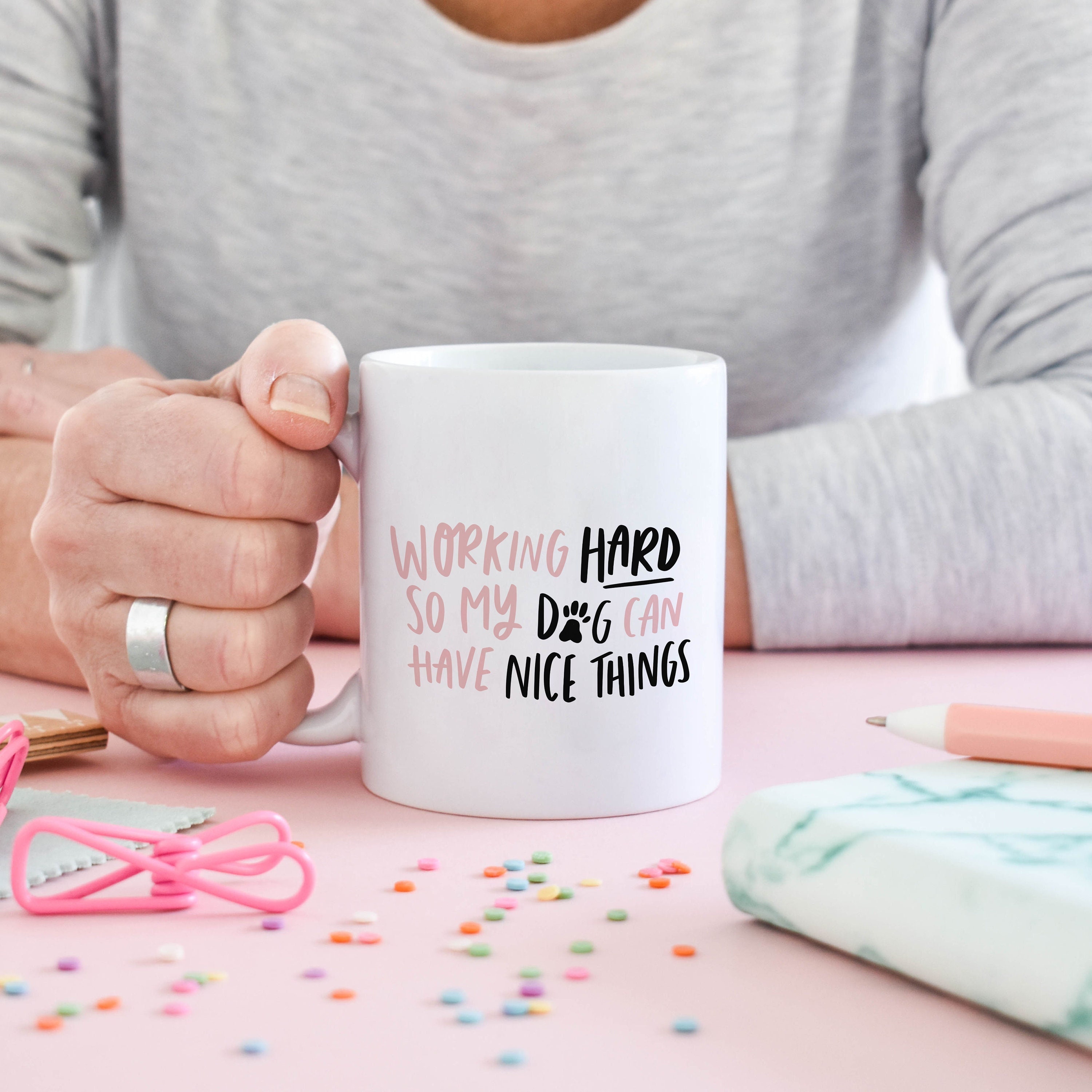 Funny New Mom Mug - The Cat is Jealous of Baby