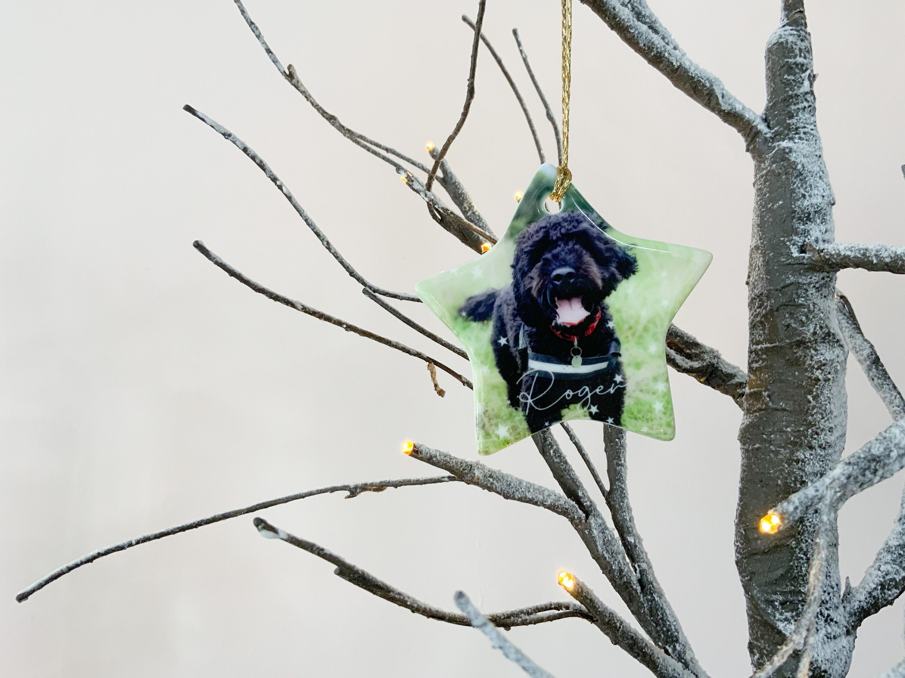 Personalised Pet Christmas Decoration Ornament, Christmas Gift for Pet Lovers, Pet Christmas Keepsake, Dog Bauble, Cat Bauble, Pet Memorial
