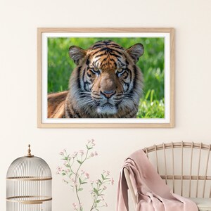 Tiger Portrait Photo Print Tiger Wall Art Animal Home Decor Wildlife ...