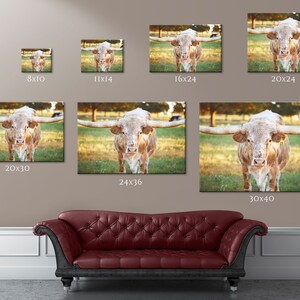 May include: A white and brown Texas Longhorn steer with long horns stands in a field of green grass. The steer is looking directly at the camera. The background is a blurred image of trees and a sunset sky. The image is available in various sizes, from 5x7 inches to 30x40 inches.