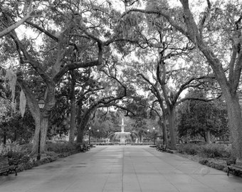 Stampa fotografica d'arte / Foto di Savannah Forsyth Park in bianco e nero / Scegli stampa standard, tela, metallo o acrilico / Savannah Georgia
