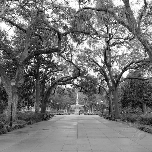Fine Art Photo Print | Black and White Savannah Forsyth Park Picture | Choose Standard Print, Canvas, Metal or Acrylic | Savannah Georgia