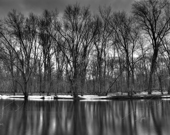 Fine Art Photo Print |  Choose Standard Print, Stretched Canvas, Mounted Metal Print or Acrylic Mount | Black and White Winter Trees Indiana