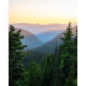 Mount Rainier Forest Skyline Fine Art Photo Print Picture | Choose Standard Print, Canvas, Metal or Acrylic | Pacific Northwest Photography
