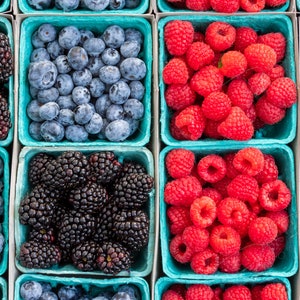 Baskets of Berries Fine Art Photo Print - Picture | Choose Standard Print, Canvas, Metal or Acrylic | Raspberries, Blueberries, Blackberries