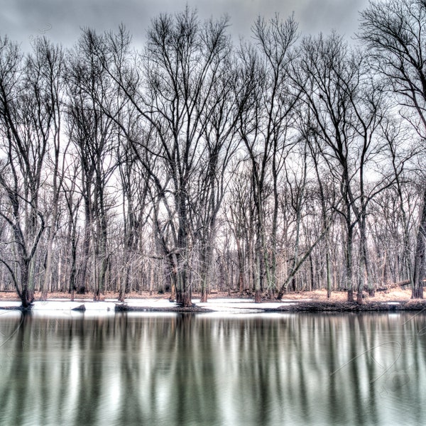 Fine Art Photo Print - Winter Trees Reflection Large Picture | Choose Standard Print, Stretched Canvas, Mounted Metal Print or Acrylic Mount