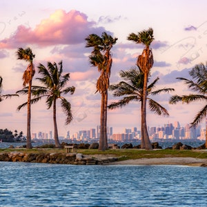 Fine Art fotoafdruk | Miami Palm Tree Skyline zonsondergang foto | Miami Florida kunst aan de muur Home Decor | Natuur- en landschapsfotografie afbeeldingen