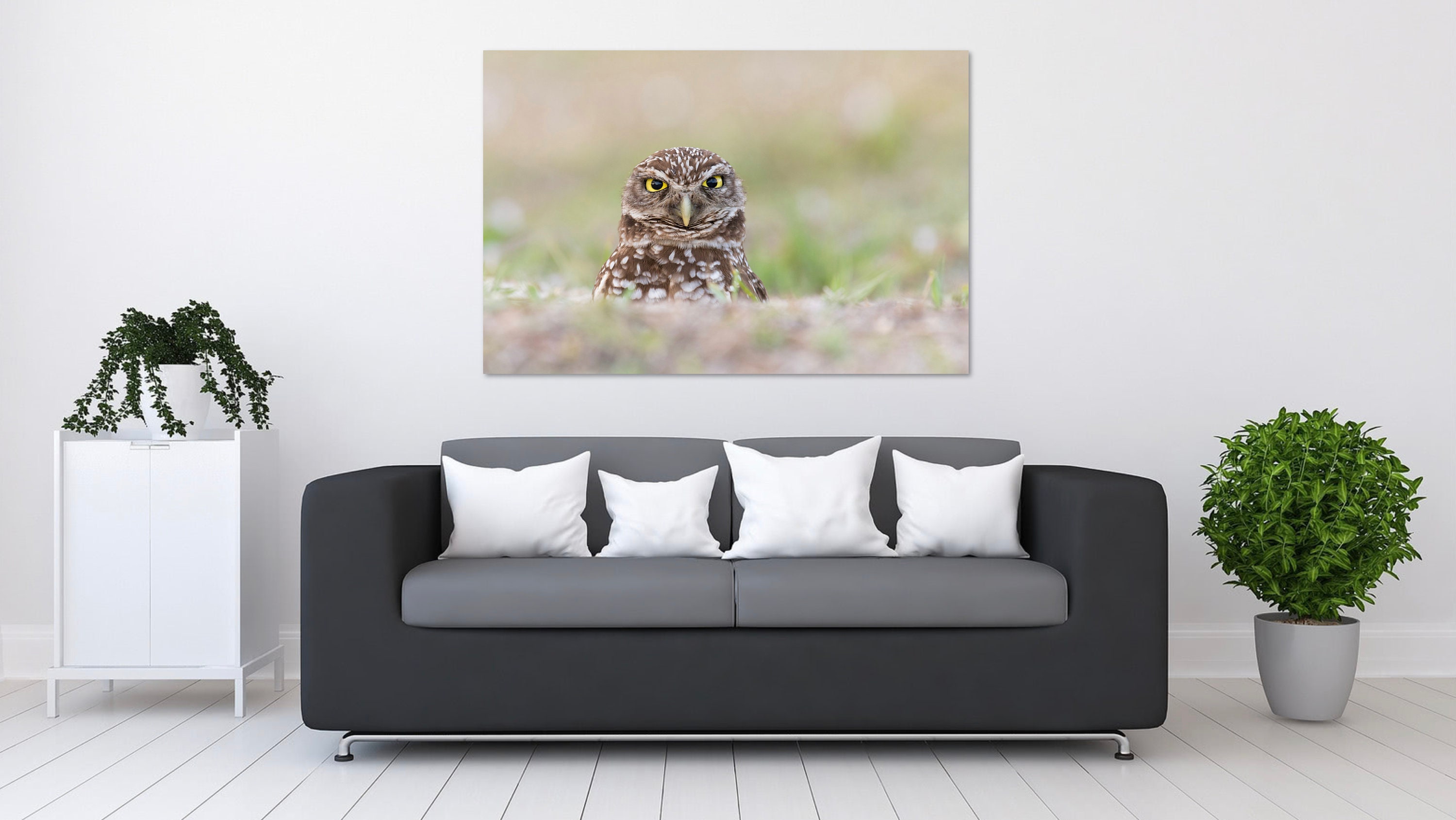 Fine Art Photo Print Burrowing Owl Picture Owl Wall Art - Etsy