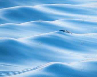 Fine Art Photo Print - Ocean Waves Photo Print | Choose Regular Print, Canvas, Metal or Acrylic | Nautical Home Decor Wall Art | Beach Image