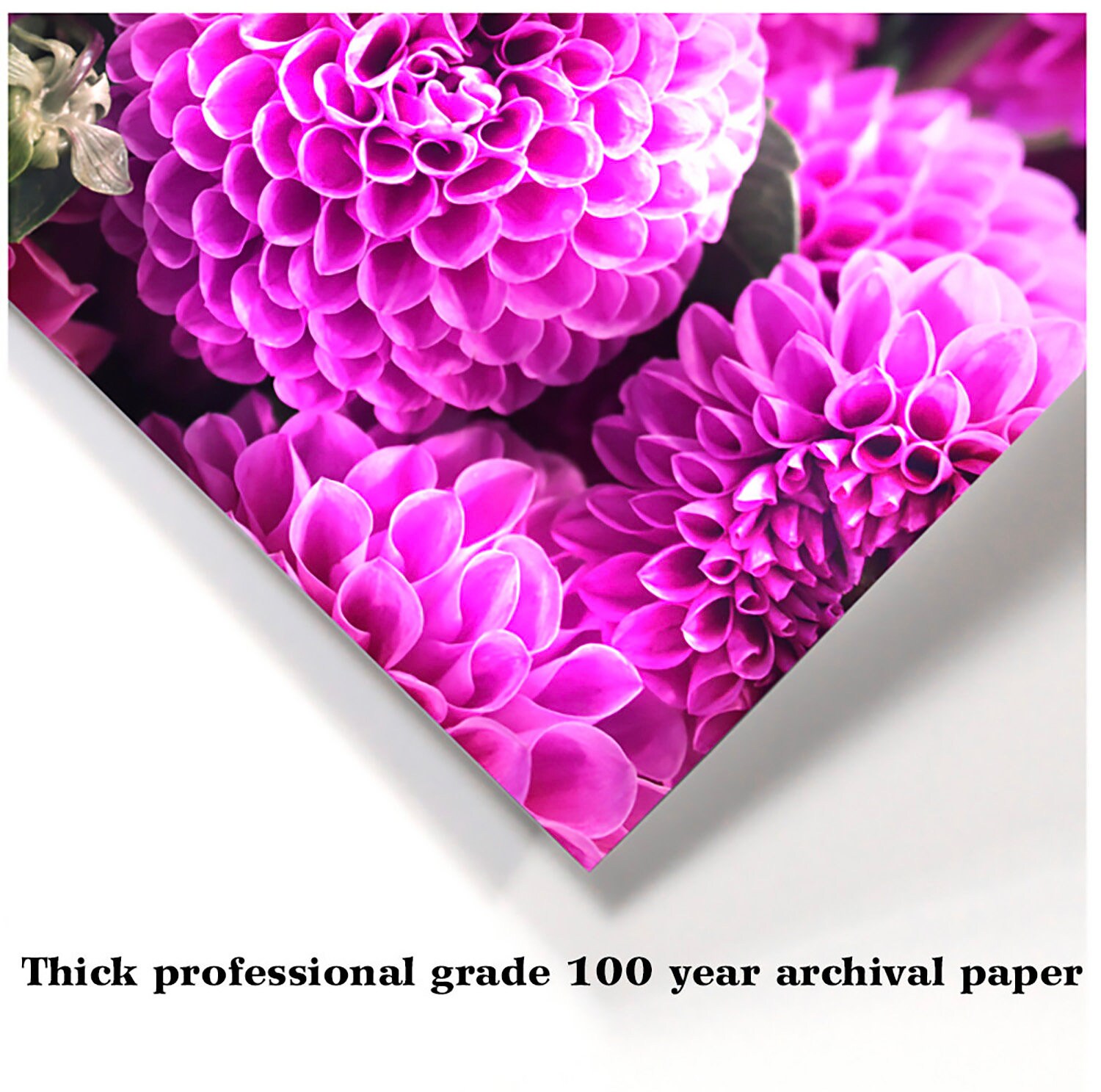 Fine Art Photo Print Choose Standard Print Stretched Etsy